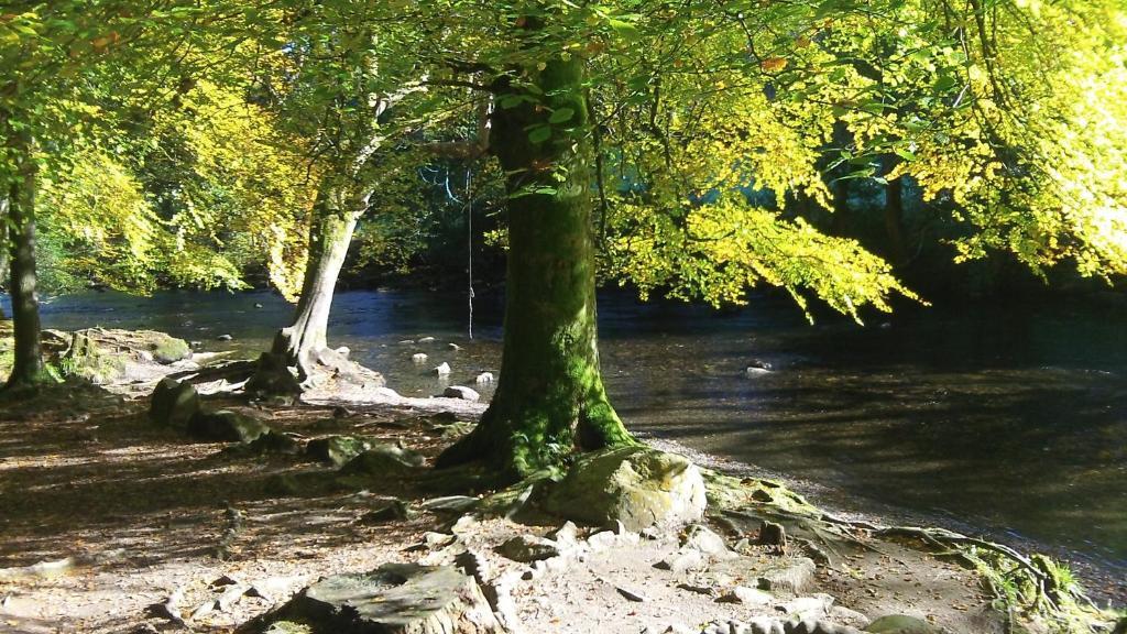 Bryn Bella Hotel Conwy Bagian luar foto